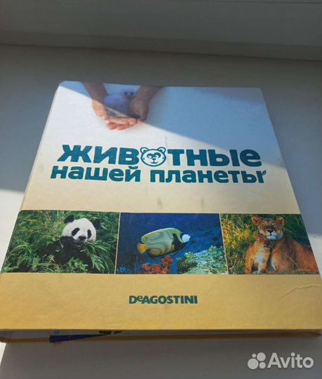 Детская энциклопедия