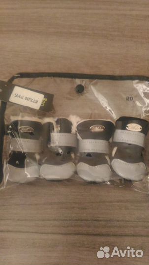 Одежда и обувь для средних собак