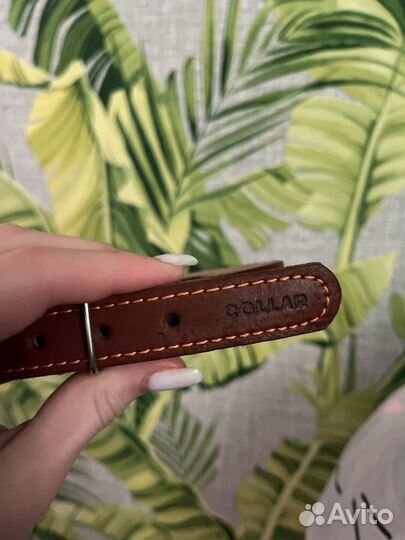 Новый Ошейник для средних собак