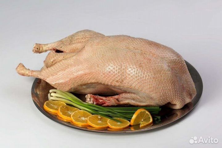 Гуси Линда