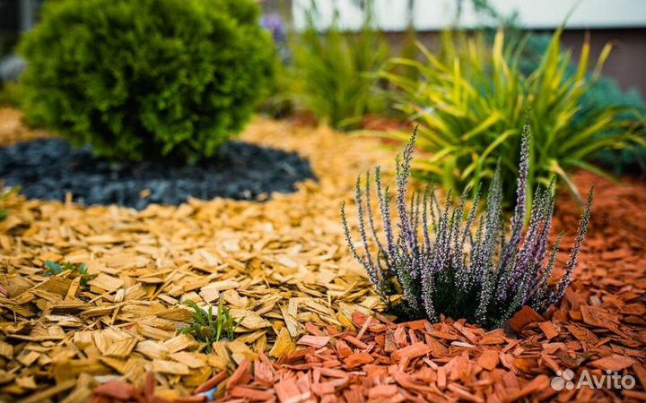 Декоративная щепа для ландшафтного дизайна