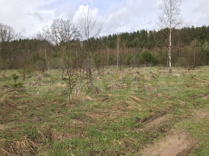 Участок 12,9 га (СНТ, ДНП)