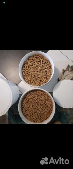 Корм для собак