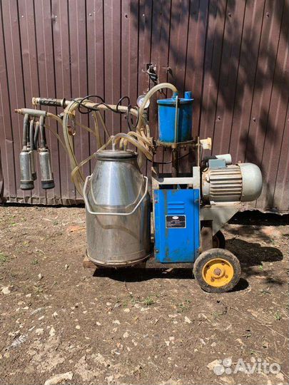 Доильный аппарат для коров бу