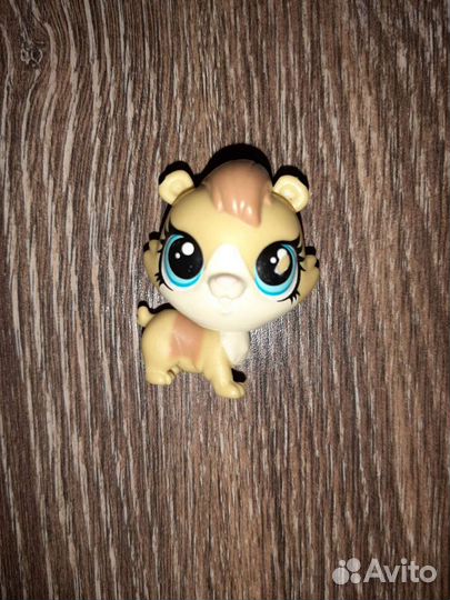 Littlest Pet Shop