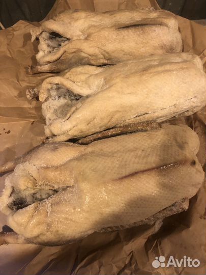 Гусь вяленый