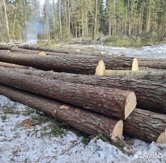 Лес кругляк пиловочник