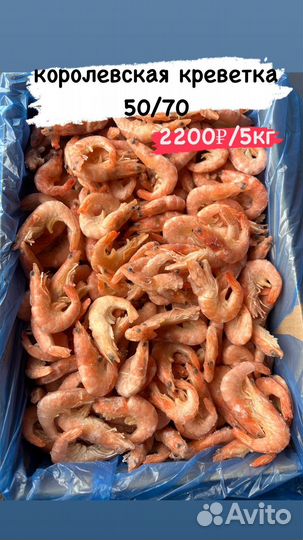Креветки королевские