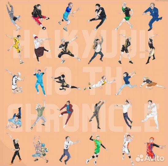 Haikyuu Стенды Волейбол