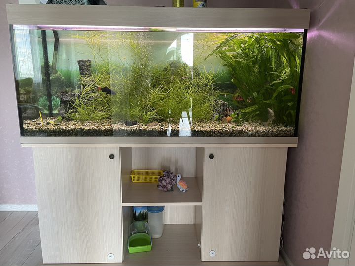 Аквариум 300литров