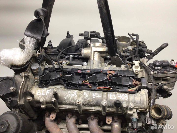 Двигатель Volkswagen Golf Blf 1.6 FSI бензин