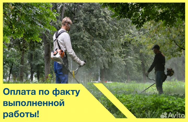 Скос, покос травы триммером