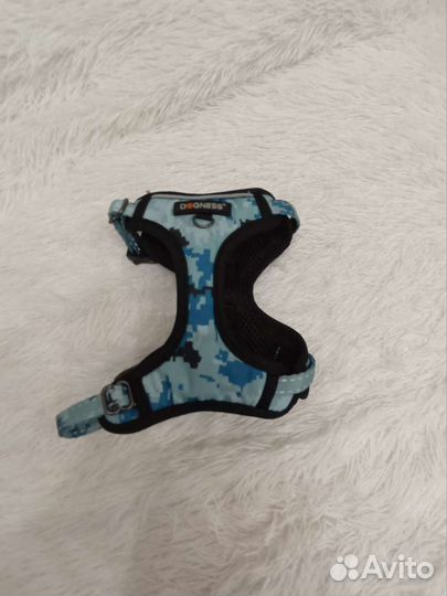 Анотомифески правильная шлейка для мелких собак