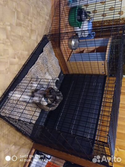 Клетка для собак Midwest Solutions SL54DD