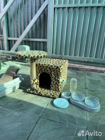 Домик для кошки с когтеточкой бу