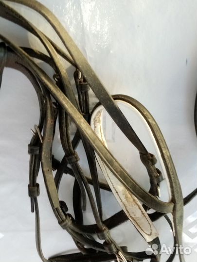 Все для лошадей