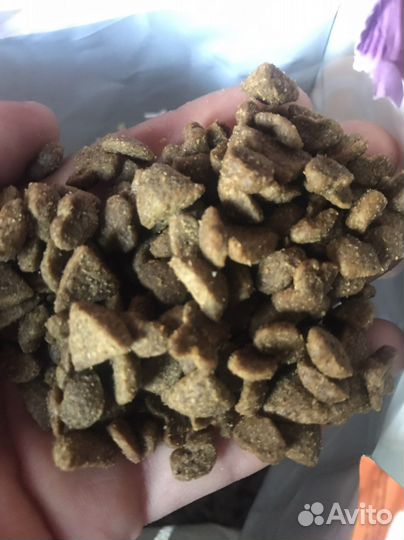 Корм для кошек