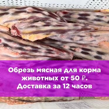 Хрящики для высушивания и провяливания оптом курьер