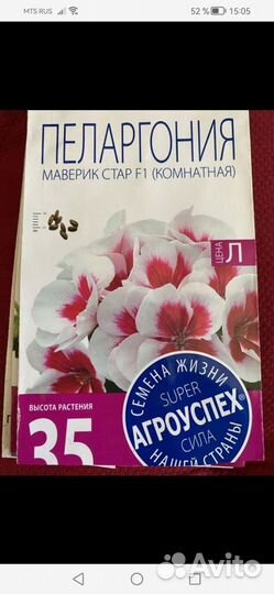 Пеларгония герань