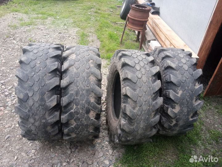 Superstone Crocodile Xtreme R16