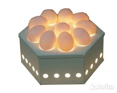 Овоскоп iterma EGG10