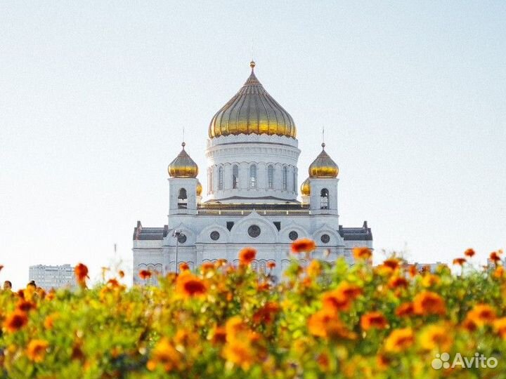 Москва Топ-Экскурсия Ежедневная прогулка по Москве