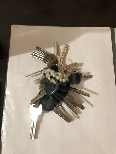 1-к. квартира, 36,3 м², 2/3 эт.