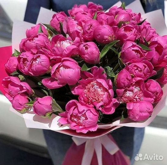 Пионы Цветы Доставка