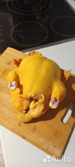 Домашние куры бройлеры