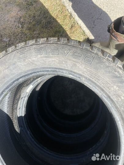 Gislaved Frost 205/55 R16