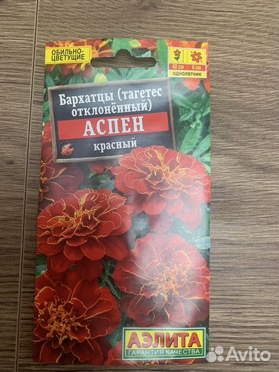 Бархатцы(рассада)