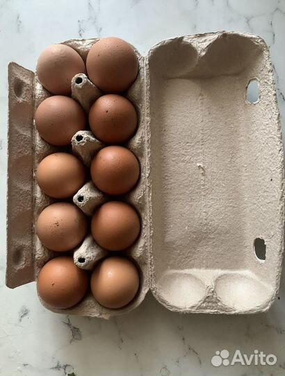 Домашние куриные яйца