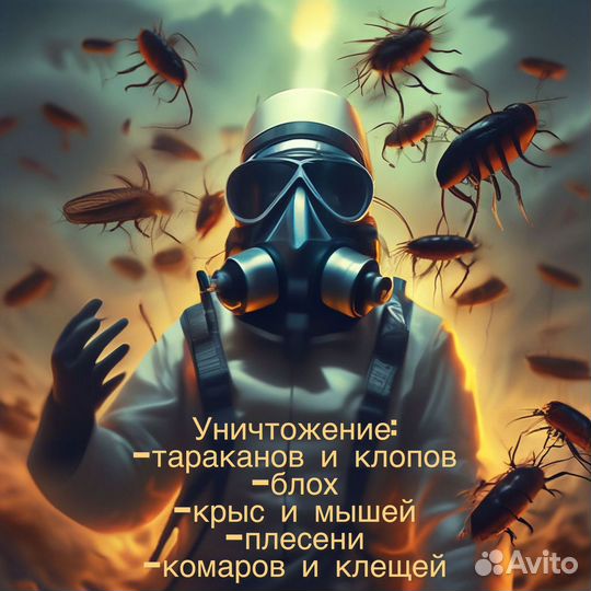 Дезинсекция уничтожение Тараканов и Клопов