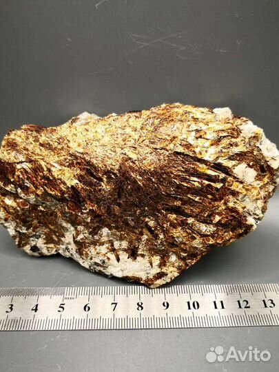 Астрофиллит, эвдиалит. г.Эвеслогчорр, Хибины