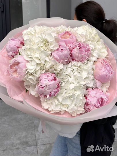 Гортензии Голландия Цветы и Букеты с Доставкой