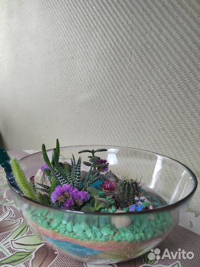 Флорариум с речкой