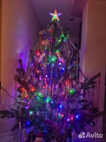 Живые пушистые елки с доставкой