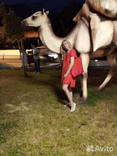 Образование