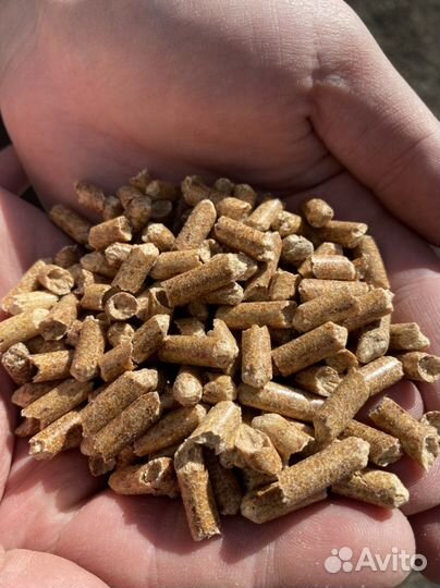 Наполнитель для кошачьего туалета