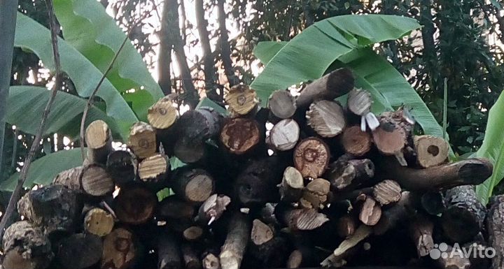 Дрова резанные фруктовые запекания, макси мангала