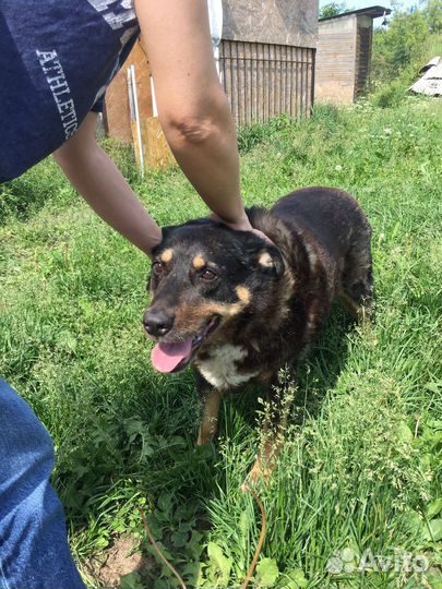 Жуля ищет дом