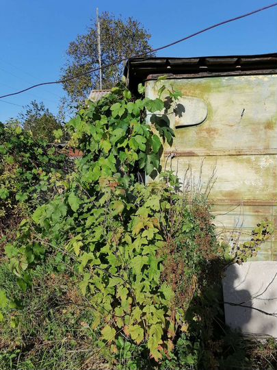 Дом 39,1 м² на участке 20 сот.