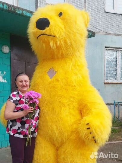 Аниматоры на день рождения Мишка