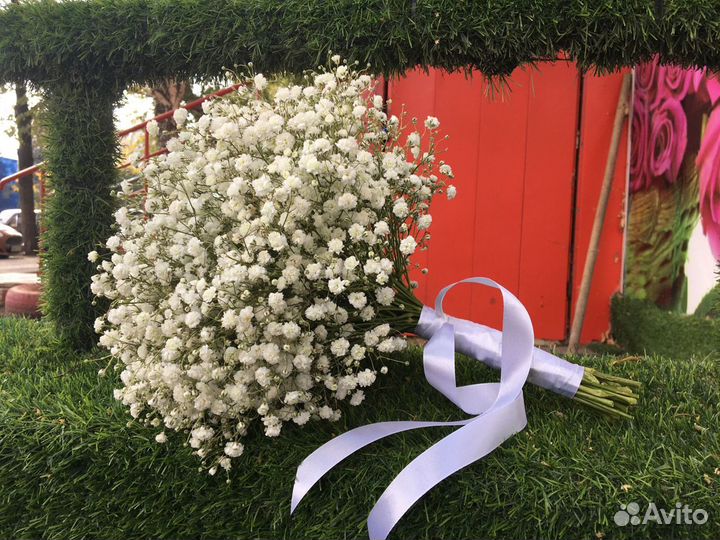 Букет 13 гипсофил