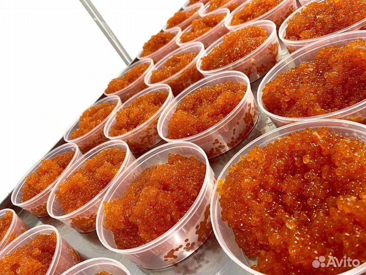 Икра красная вылоа июль 2023 год