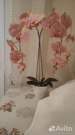 Цветы для красоты (ботаническая копия)