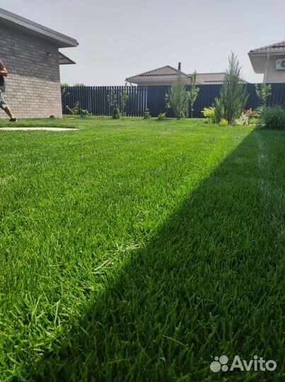Купить рулонный газон