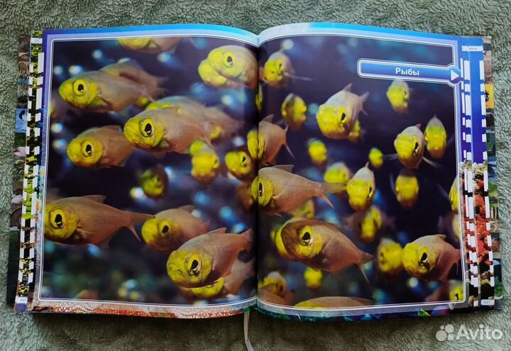 Энциклопедия животных