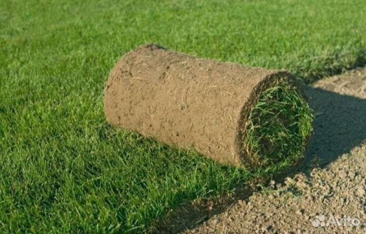 Автополив,Рулонный газон Люкс/Премиум/Спортивный