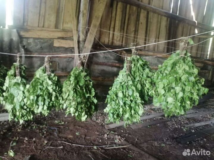 Веники для бани